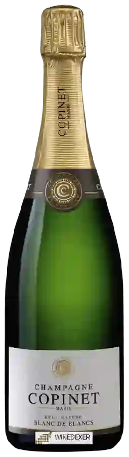 Weingut Copinet - Blanc de Blancs Brut Nature Champagne