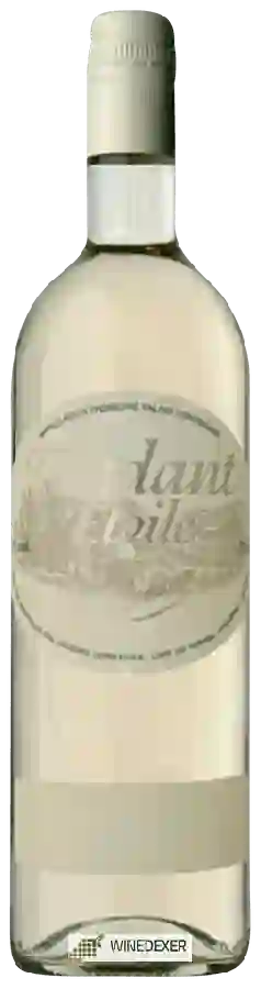 Weingut Jacques Germanier - Fendant Etoile