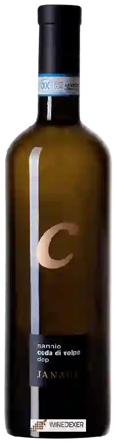 Weingut La Guardiense - Janare Sannio Coda di Volpe
