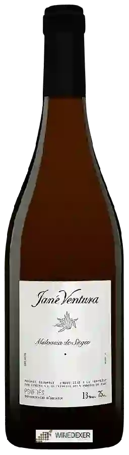 Weingut Jané Ventura - Malvasia de Sitges Weingut Jané Ventura - Malvasia de Sitges