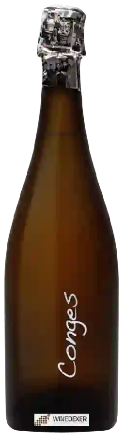 Weingut Janisson Baradon - Conges