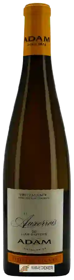 Weingut Jean-Baptiste Adam - Vieilles Vignes L'Auxerrois