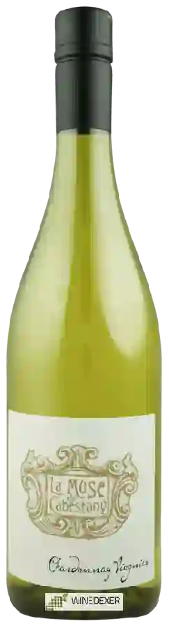 Weingut Jean d'Alibert - La Muse de Cabestany Chardonnay - Viognier