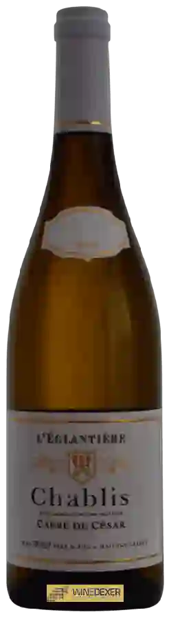 Weingut Jean Durup - L'Églantière Carré de César Chablis Weingut Jean Durup - L'Églantière Carré de César Chablis