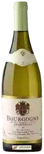 Weingut Jean Javillier & Fils - Bourgogne Chardonnay
