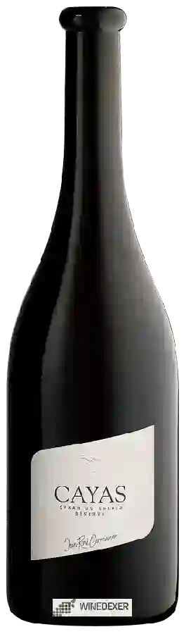 Weingut Jean-René Germanier - Cayas Réserve Weingut Jean-René Germanier - Cayas Réserve