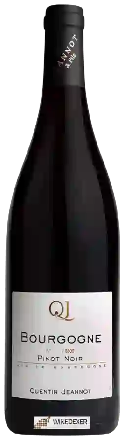 Weingut Jeannot - Bourgogne Pinot Noir