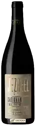 Weingut Jezreel - Single Vineyard Carignan