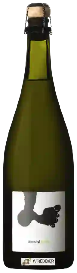 Weingut Joan Rubió - Ancestral Xarel·lo Weingut Joan Rubió - Ancestral Xarel·lo