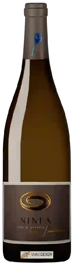 Weingut João M Barbosa - Ninfa Escolha Sauvignon Blanc