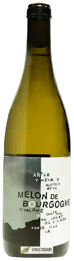 Weingut Jolie-Laide - Antle Vineyard Melon