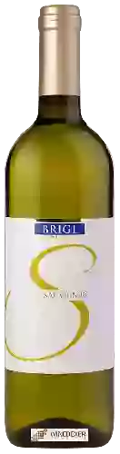 Weingut Josef Brigl - Sauvignon