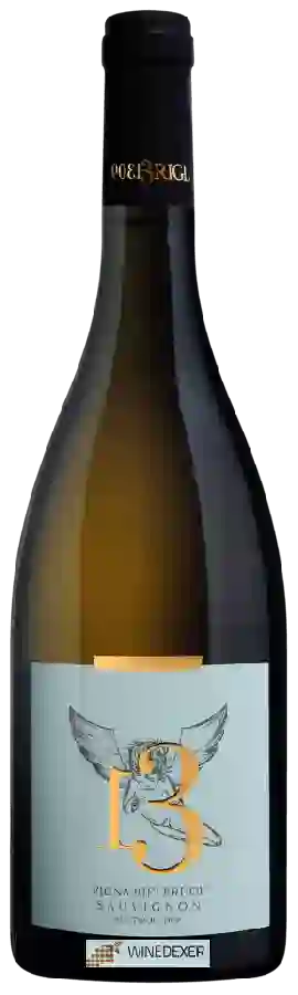 Weingut Josef Brigl - Vigna Rielerhof Sauvignon Weingut Josef Brigl - Vigna Rielerhof Sauvignon