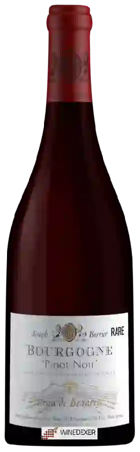 Joseph Burrier (Château de Beauregard) - Rare Bourgogne Pinot Noir Joseph Burrier (Château de Beauregard) - Rare Bourgogne Pinot Noir