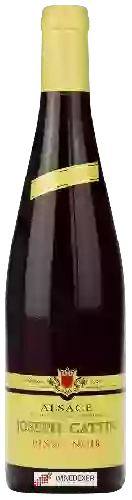Weingut Joseph Cattin - Pinot Noir