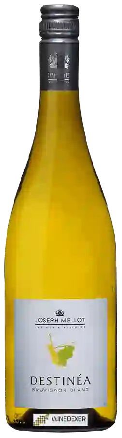 Weingut Joseph Mellot - Destinéa Sauvignon Blanc