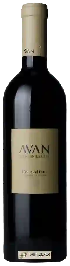 Weingut Juan Manuel Burgos - Avan Cepas Centenarias
