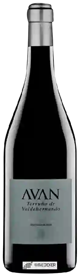 Weingut Juan Manuel Burgos - Avan Terruño de Valdehernando