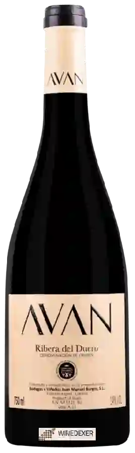 Weingut Juan Manuel Burgos - Avan Tinto