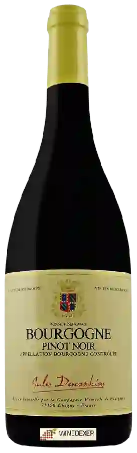 Weingut Jules Descombins - Bourgogne Pinot Noir