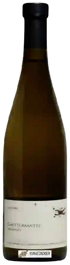 Weingut Julien Meyer - Grittermatte Riesling Nature