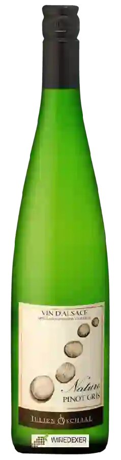 Weingut Julien Schaal - Nature Pinot Gris Weingut Julien Schaal - Nature Pinot Gris