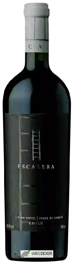 Weingut Junta - Escalera Weingut Junta - Escalera