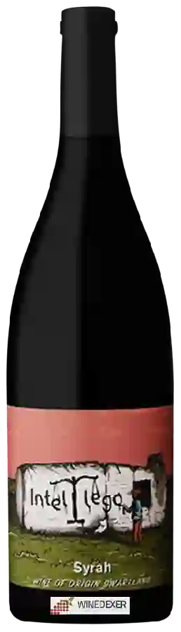 Weingut Intellego - Syrah