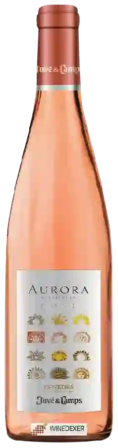 Weingut Juvé & Camps - Aurora D'Espiells Rosé
