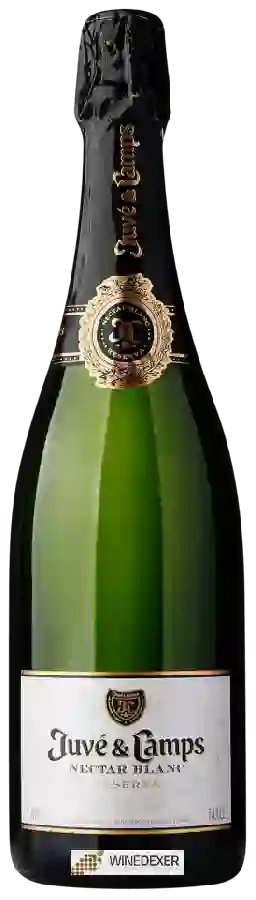 Weingut Juvé & Camps - Cava Nectar Blanc Reserva Dulce Weingut Juvé & Camps - Cava Nectar Blanc Reserva Dulce