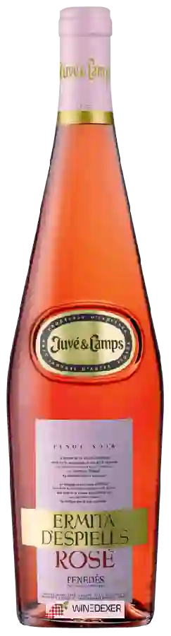 Weingut Juvé & Camps - Pinot Noir Penedès Ermita D'Espiells Rosé