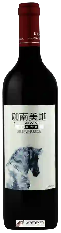 Weingut Kanaan - Wild Pony Weingut Kanaan - Wild Pony