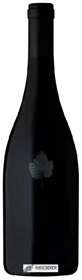 Weingut Kangarilla Road - Q Shiraz