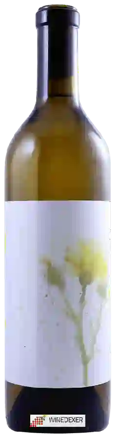 Weingut Kinero - Alice Grenache Blanc