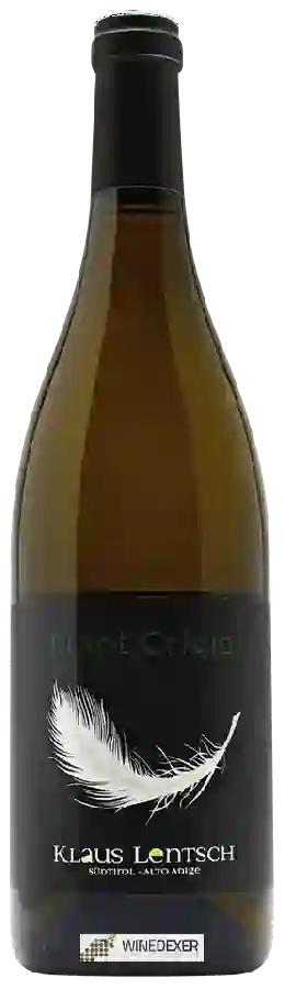 Weingut Klaus Lentsch - Pinot Grigio