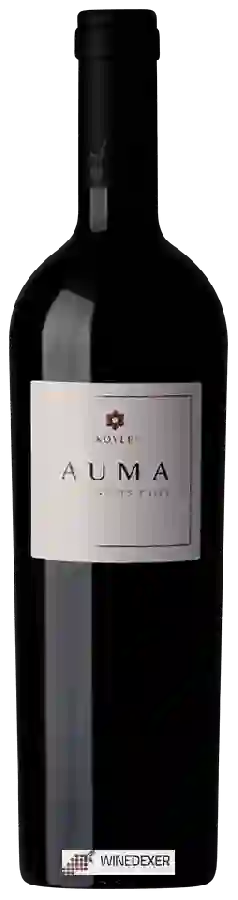 Weingut Koyle - Auma Weingut Koyle - Auma