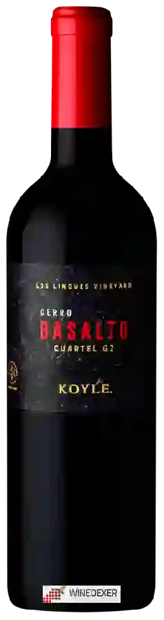 Weingut Koyle - Los Lingues Vineyard Cerro Basalto Cuartel G2