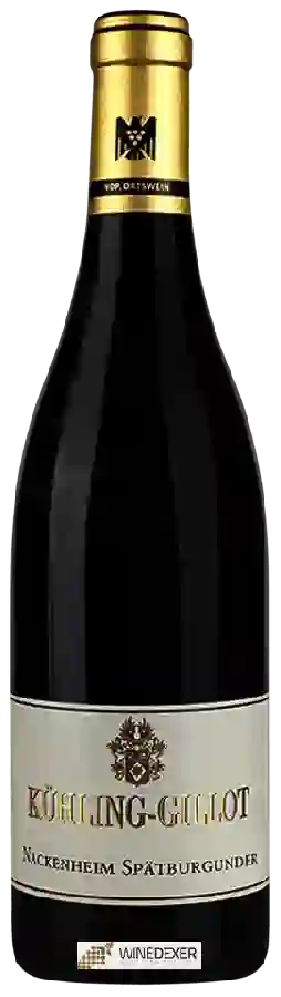 Weingut Kühling-Gillot - Nackenheim Spätburgunder Weingut Kühling-Gillot - Nackenheim Spätburgunder