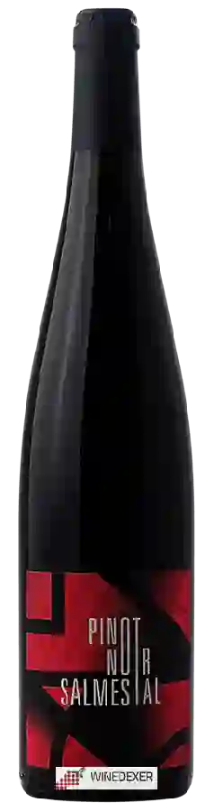 Weingut Kumpf et Meyer - Salmestal Pinot Noir
