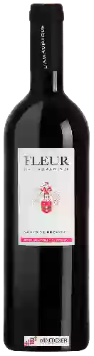 Weingut Amaurigue - Fleur de l'Amaurigue Côtes de Provence Rouge