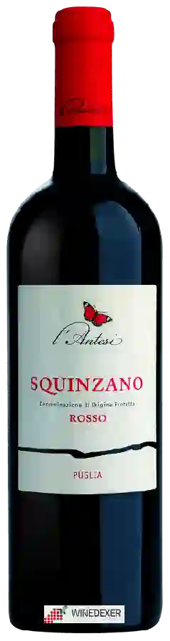 Weingut L'Antesi - Squinzano Rosso