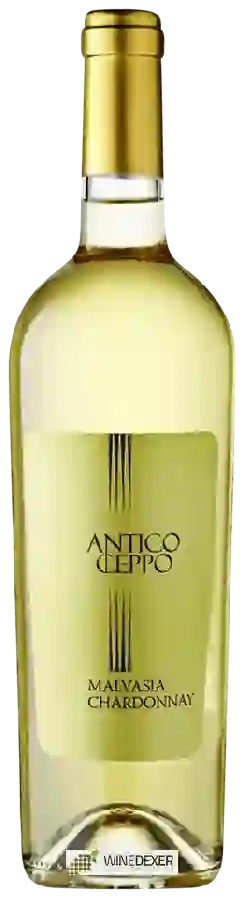 Weingut Antico Ceppo - Malvasia - Chardonnay Weingut Antico Ceppo - Malvasia - Chardonnay