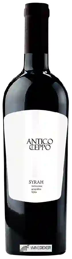 Weingut Antico Ceppo - Syrah
