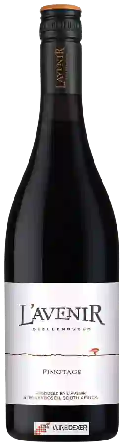 Weingut L'Avenir - Pinotage