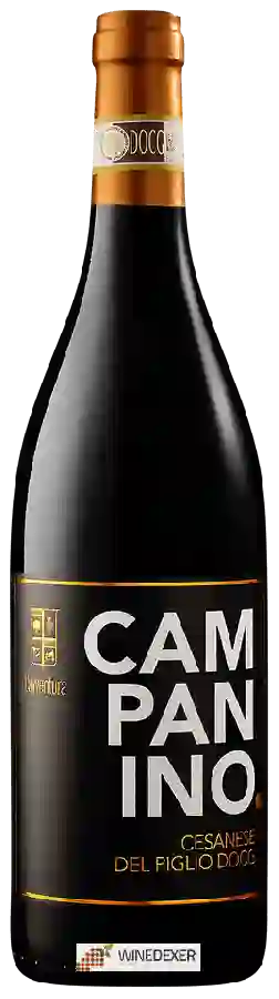 Weingut L'Avventura - Campanino Rosso