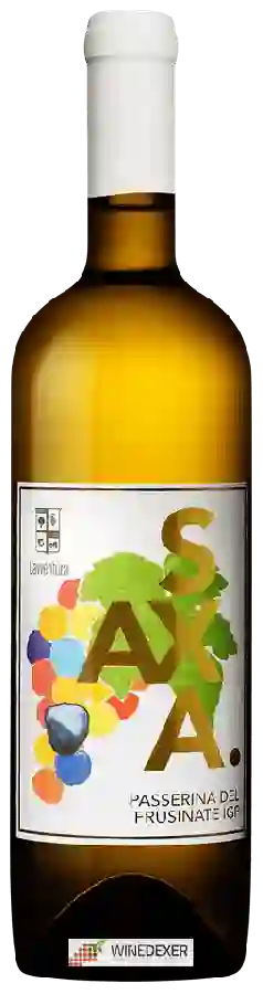 Weingut L'Avventura - Saxa Passerina del Frusinate Weingut L'Avventura - Saxa Passerina del Frusinate