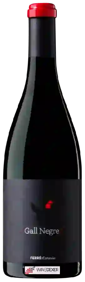 Weingut La Caperucita Verde - Gall Negre Weingut La Caperucita Verde - Gall Negre