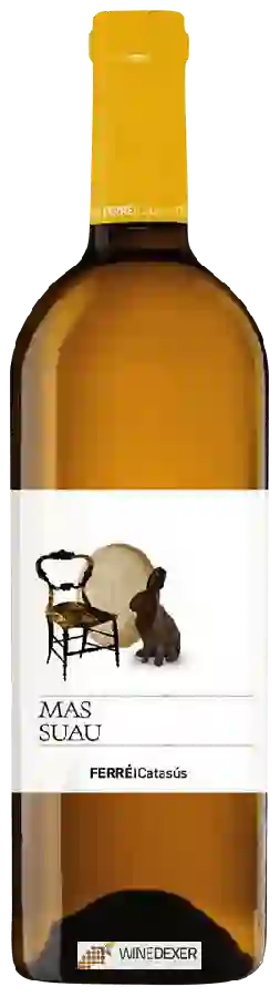 Weingut La Caperucita Verde - Mas Suau Blanco