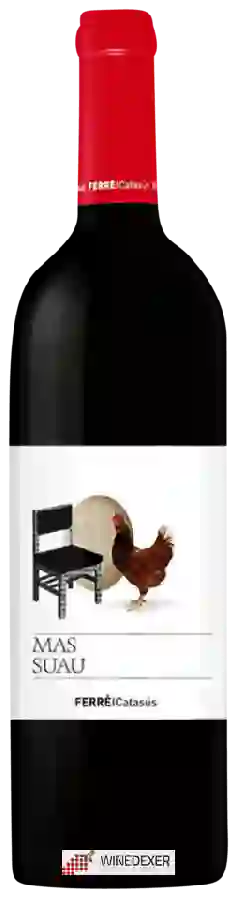 Weingut La Caperucita Verde - Mas Suau Negre Weingut La Caperucita Verde - Mas Suau Negre