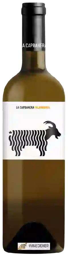 Weingut La Capranera - Falanghina